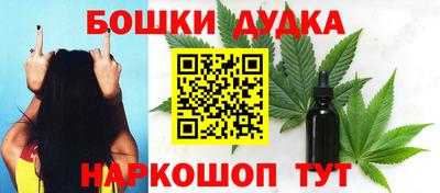 молекула духа Сланцы